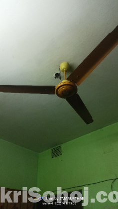 CITY 56 ceiling Fan